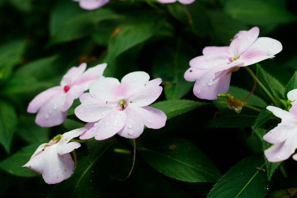 Comment créer une terrasse accueillante pour les soirées d'été en utilisant des matériaux durables ?