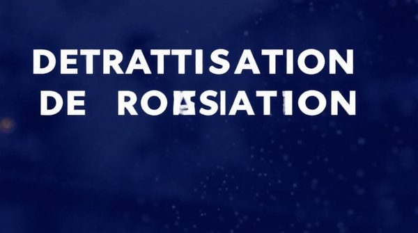 Meilleures solutions de dératisation à toulouse contre les rongeurs